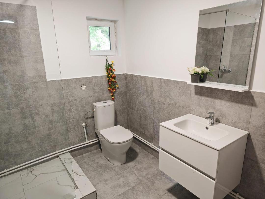 Cabana Dara Cumpăna Exterior foto
