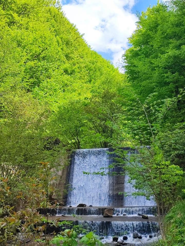 Cabana Dara Cumpăna Exterior foto