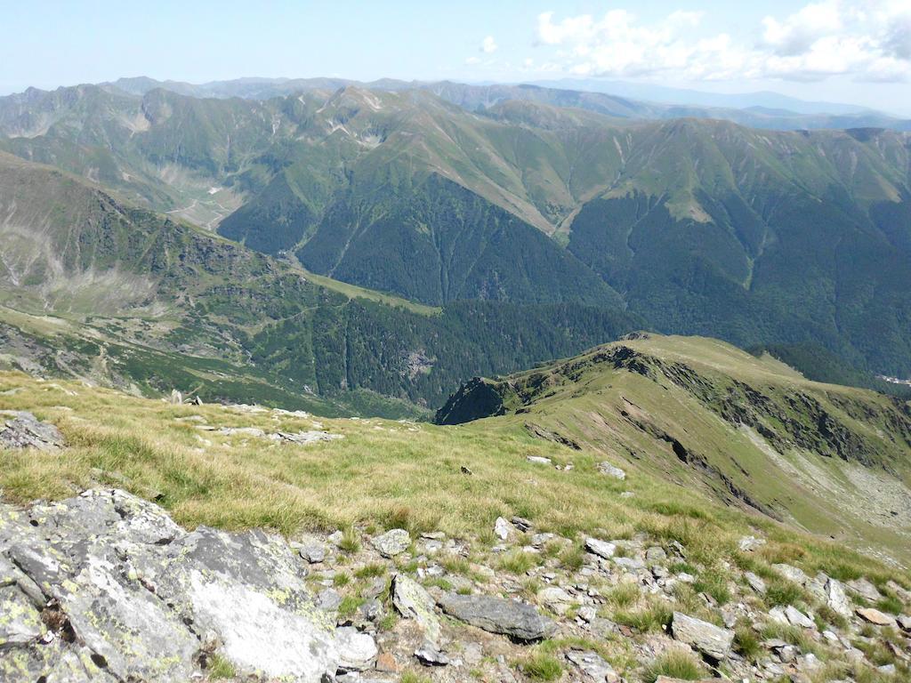 Cabana Dara Cumpăna Exterior foto
