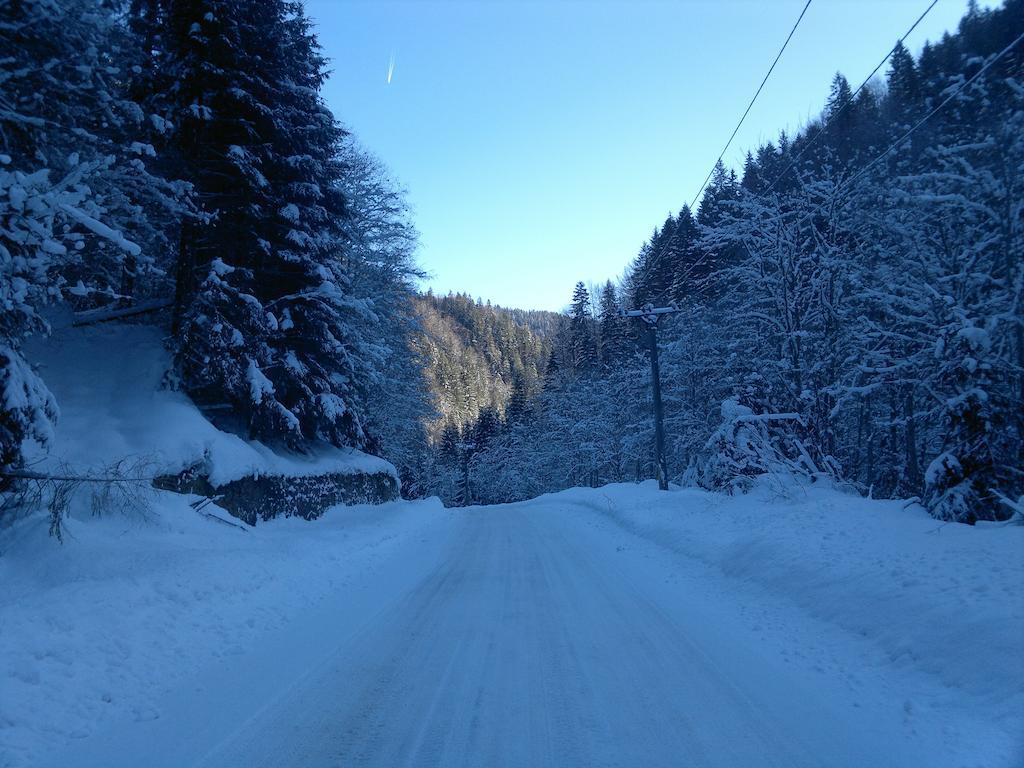 Cabana Dara Cumpăna Exterior foto